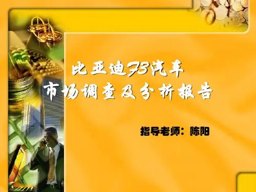 比亚迪市场调查及分析报告