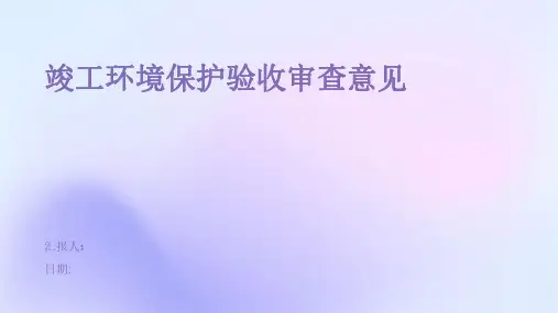 竣工环境保护验收审查意见