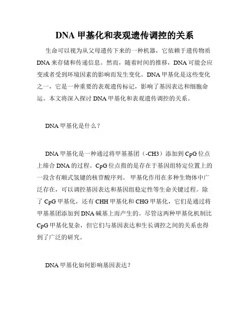 DNA甲基化和表观遗传调控的关系