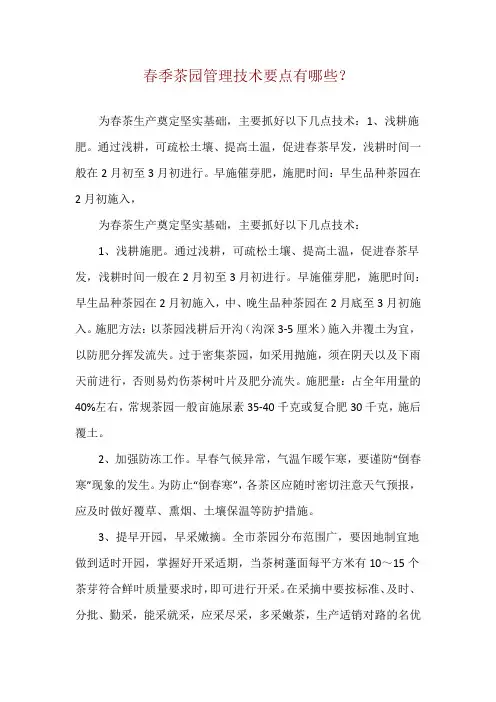 春季茶园管理技术要点有哪些？