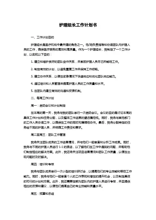 护理组长工作计划书