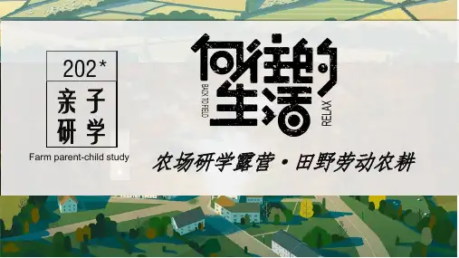 夏令营研学城市露营ppt模版 