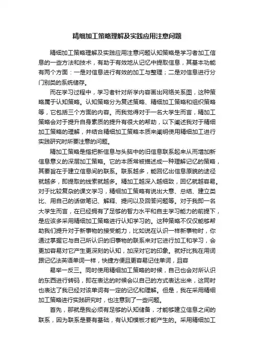 精细加工策略理解及实践应用注意问题