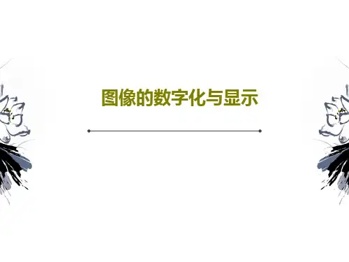 图像的数字化与显示47页PPT