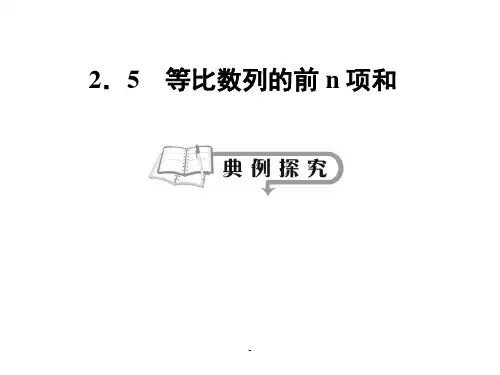 等比数列的前n项和典型例题含解答