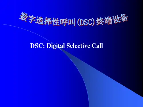 DSC