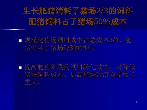育肥猪营养