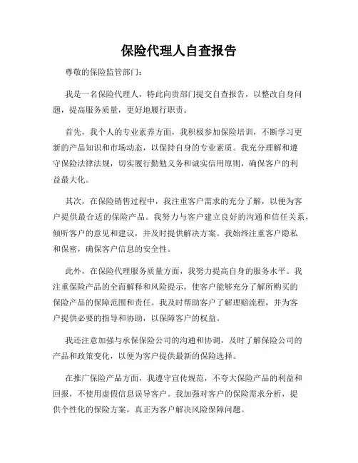 保险代理人自查报告