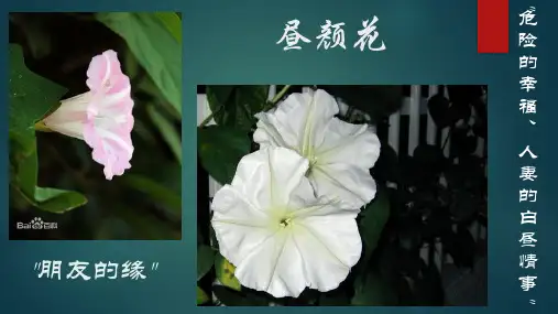 《昼颜》体现的女性主义概要