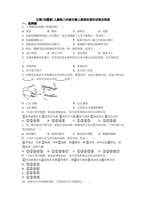 生物(完整版)人教版八年级生物上册期末期末试卷及答案