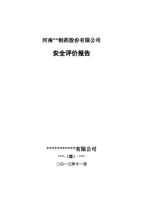 某制药股份有限公司安全评价报告