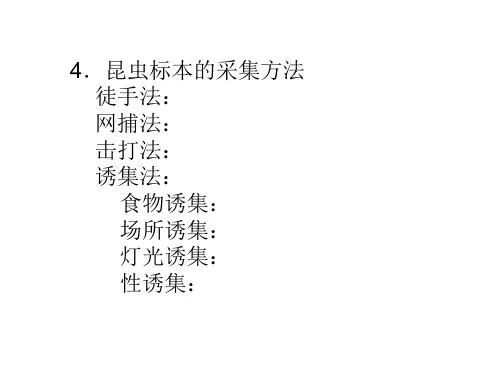 昆虫标本技术ppt课件