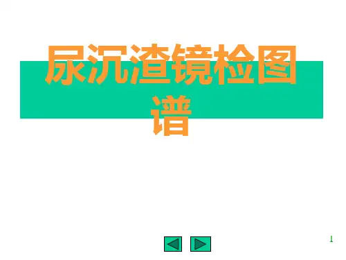 实验诊断学PPT演示文稿