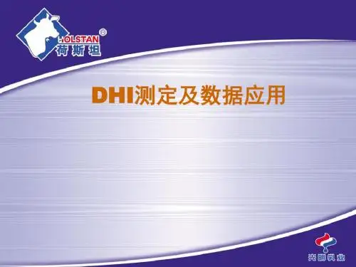 DHI测试系统ppt课件