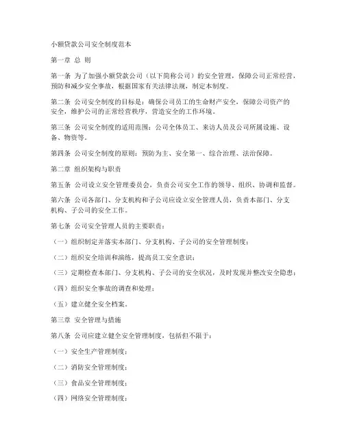 小额贷款公司安全制度范本