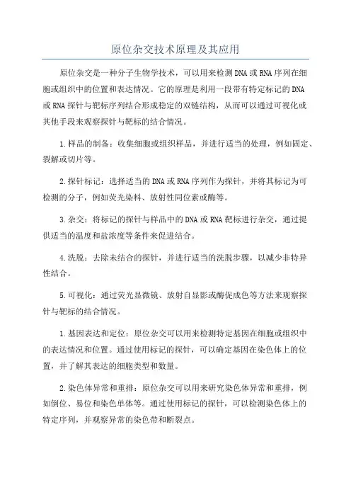 原位杂交技术原理及其应用