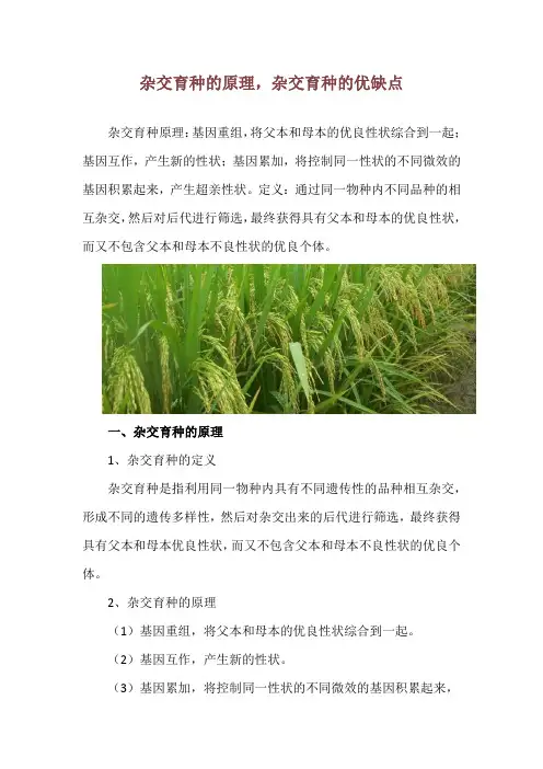 杂交育种的原理,杂交育种的优缺点