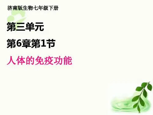 济南版生物七年级下册.1人体的免疫功能 课件