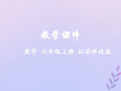 七年级数学上册第2章有理数有理数的加法与减法教学课件(新版)苏科版