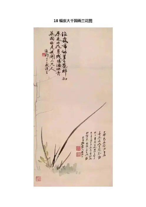 18幅张大千国画兰花图