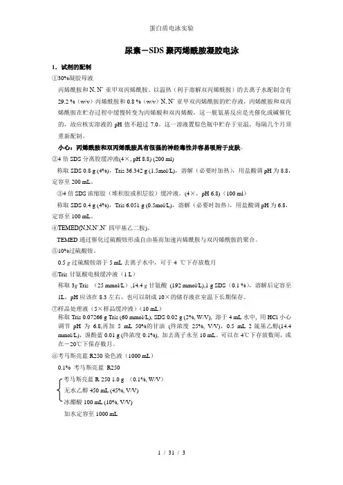 蛋白质电泳实验