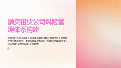 融资租赁公司风险管理体系构建