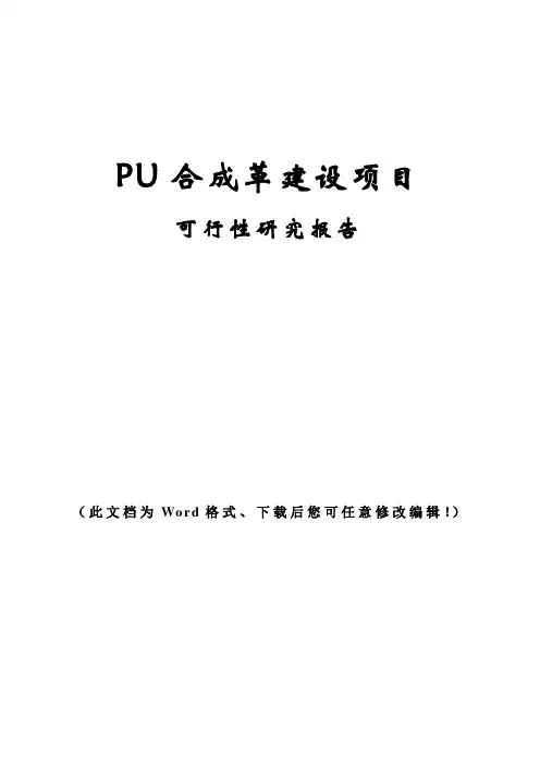 PU合成革建设项目可行性研究报告