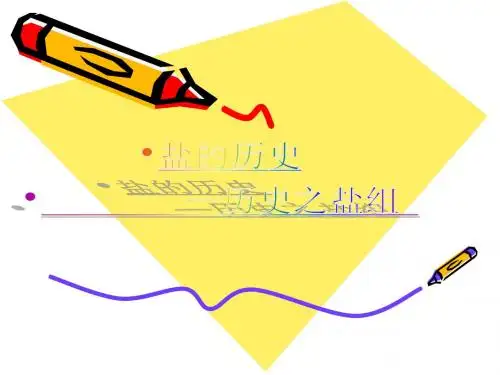 盐的历史—简倩瑶