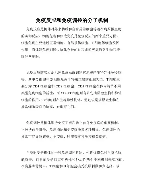 免疫反应和免疫调控的分子机制