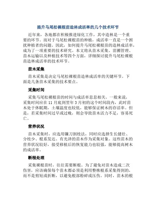 提升马尾松裸根苗造林成活率的几个技术环节