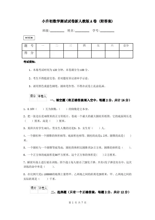 小升初数学测试试卷新人教版A卷 (附答案)