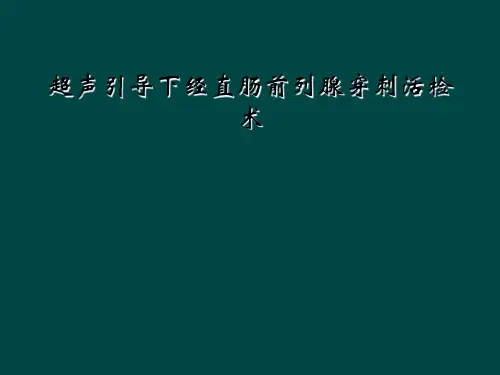 超声引导下经直肠前列腺穿刺活检术