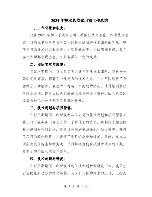 2024年技术总监试用期工作总结