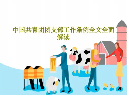 中国共青团团支部工作条例全文全面解读50页PPT