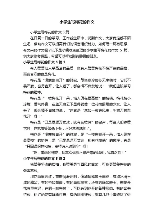 小学生写梅花的作文5篇