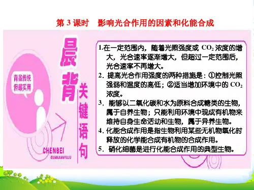 人教版生物必修1课件：第5章 第4节 第3课时 影响光合作用的因素和化能合成