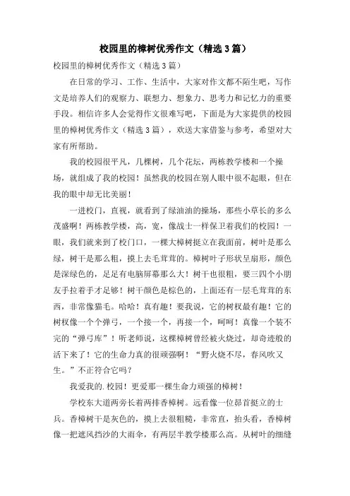 校园里的樟树优秀作文(3篇)