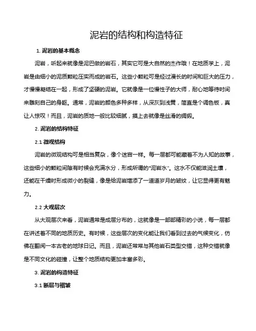 泥岩的结构和构造特征