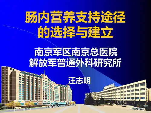 营养支持的途径