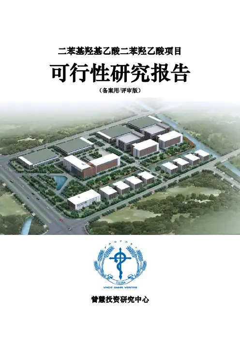 二苯基羟基乙酸二苯羟乙酸项目可行性研究报告备案用(评审版)
