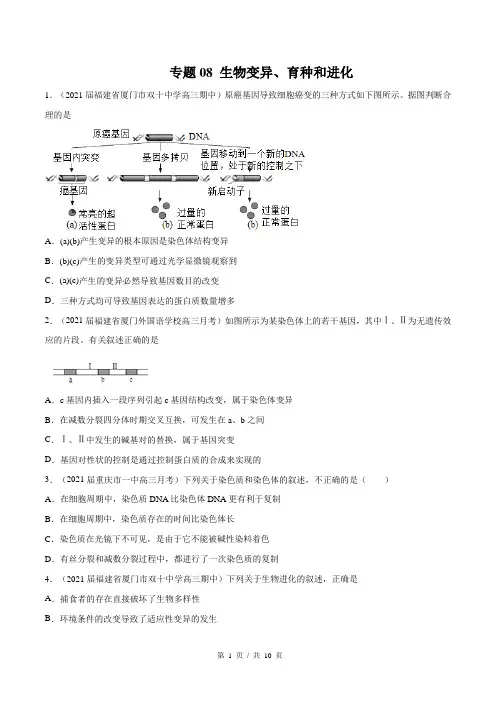 专题08 生物变异、育种和进化(学生版)  2022年新高考生物模拟题分类汇编(第1套)   