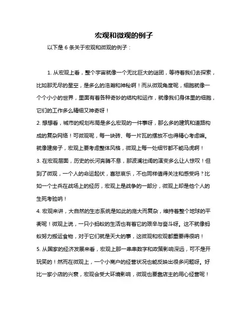 宏观和微观的例子