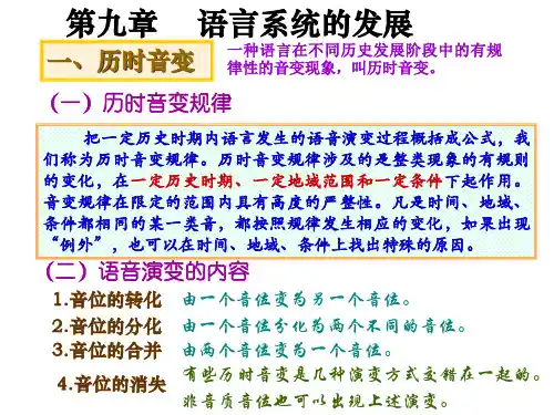 语言系统的发展