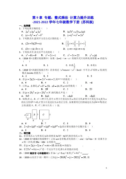 苏科版七年级数学下册第9章 专题：整式乘法 计算力提升训练(Word版含答案)