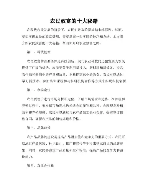 农民致富的十大秘籍