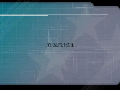 尿沉渣图片整理2讲课文档