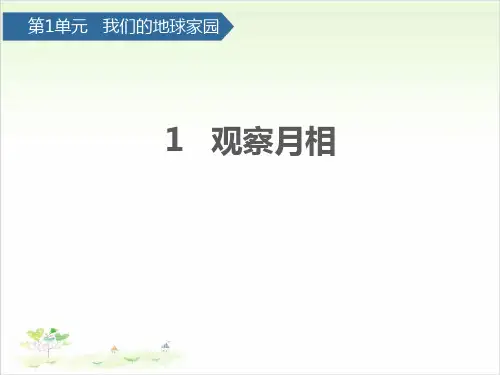 二年级上册科学-观察月相教科版课件PPT