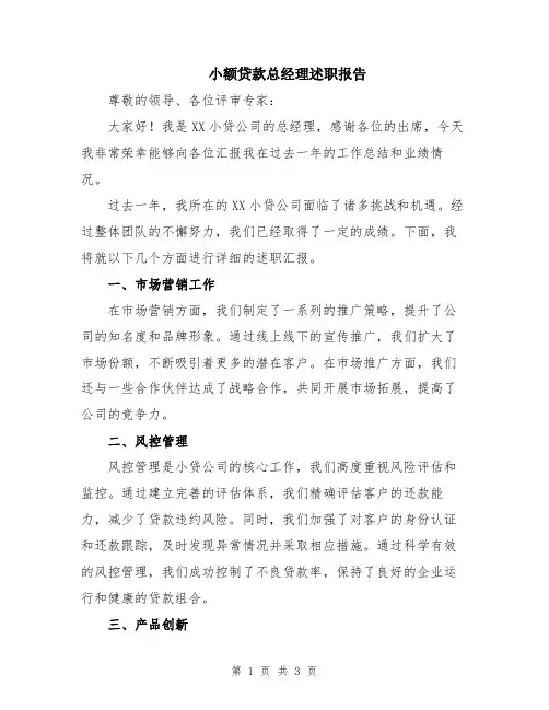 小额贷款总经理述职报告
