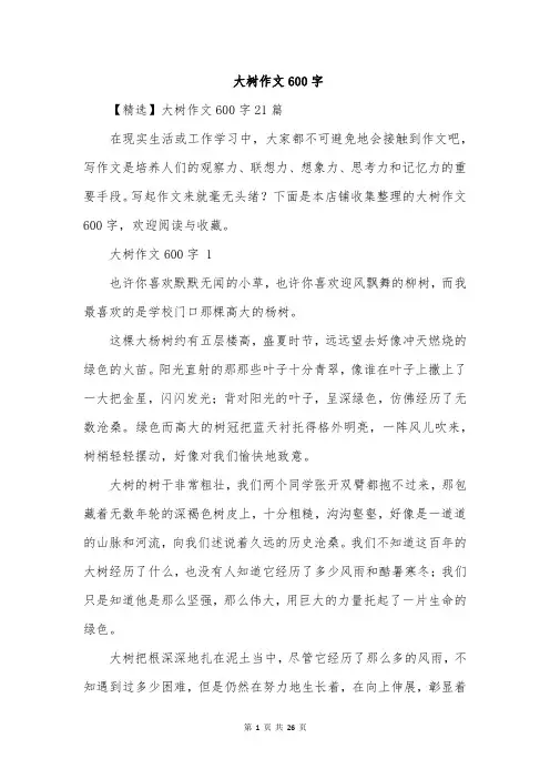 大树作文600字