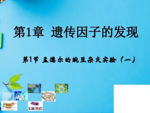 人教版高中生物必修二全册课件PPT (2)